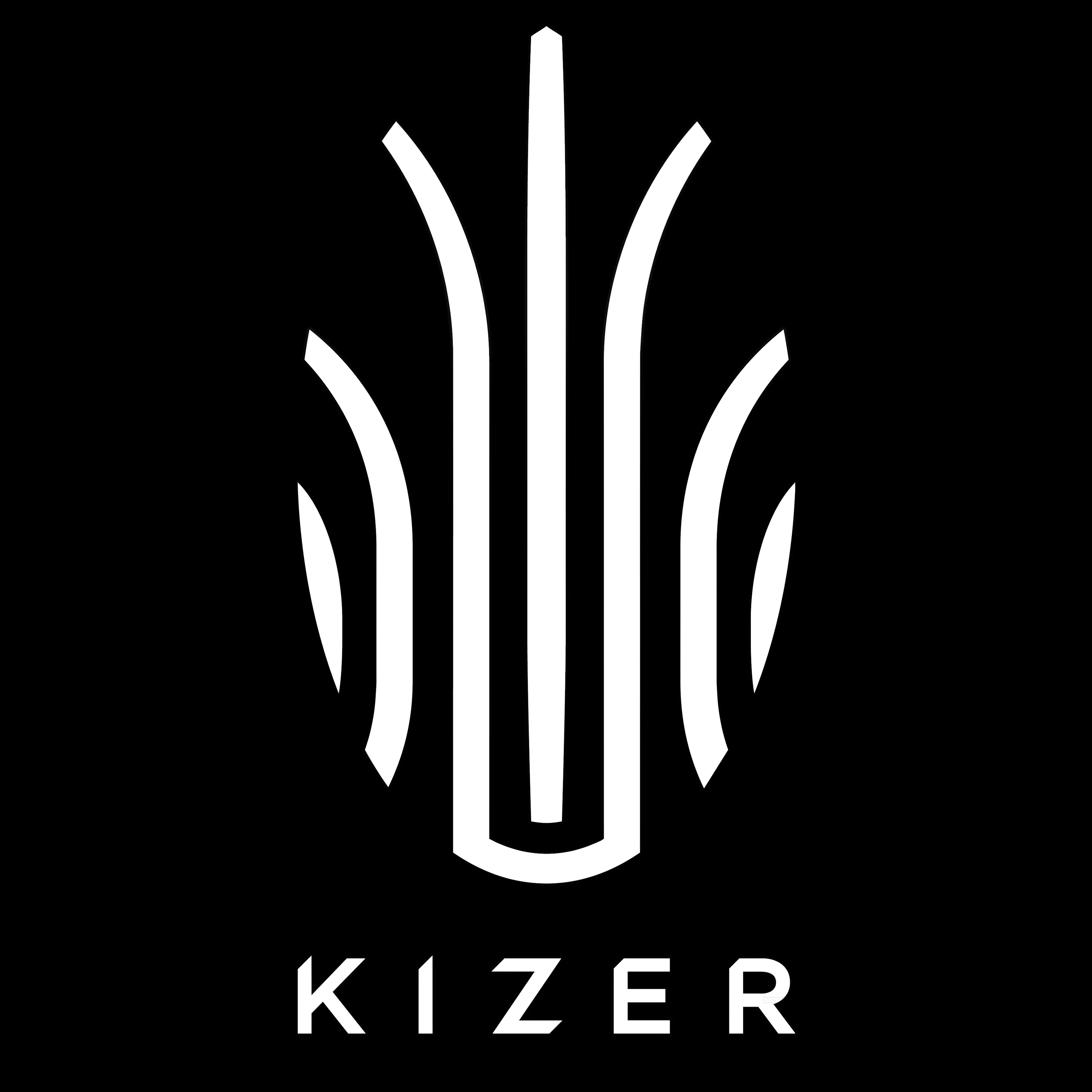Kizer Knives & Exclusive Pocket Knives
